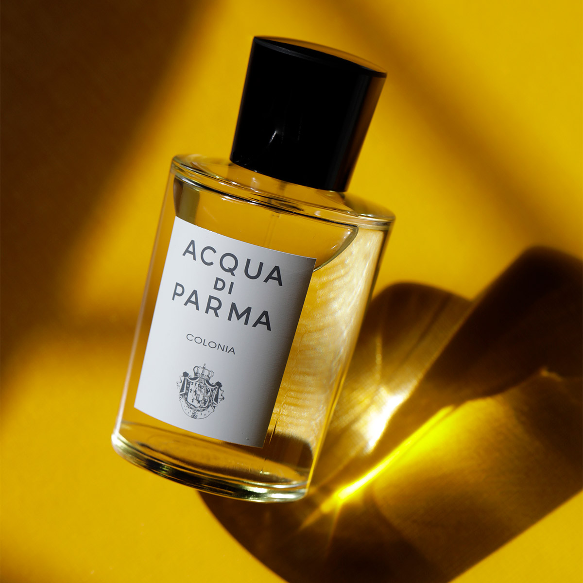 acqua di parma recrutement