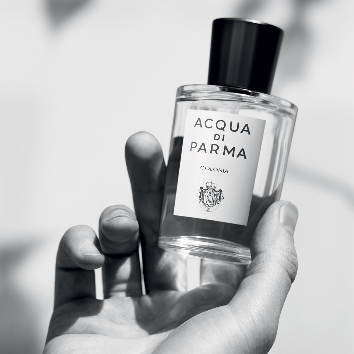 acqua di parma recrutement